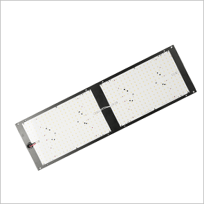 A placa quântica QB288 240W cresce clara