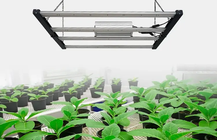 600W Foldable Spider LED grow light