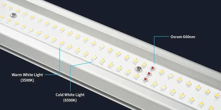 Spider Pro Series LED Grow Light