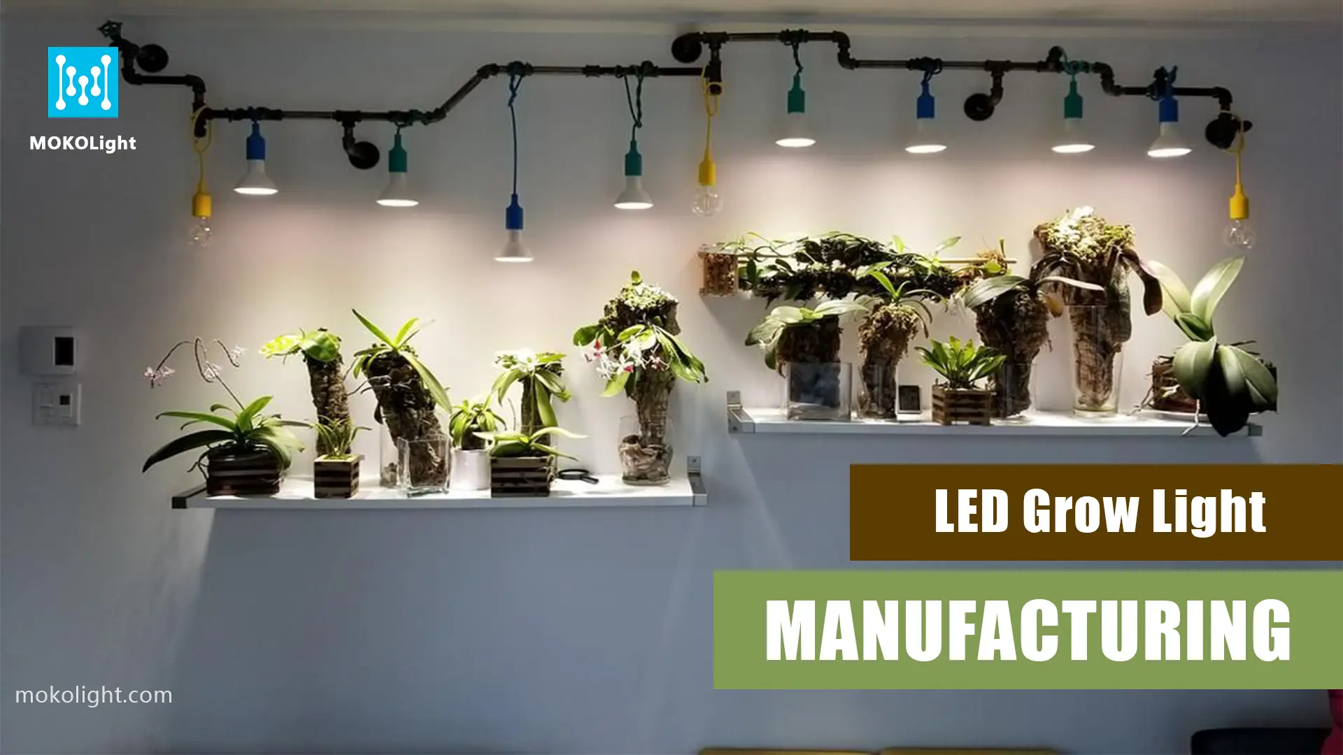 The Ultimate Guide to LED Grow Light Manufacturing