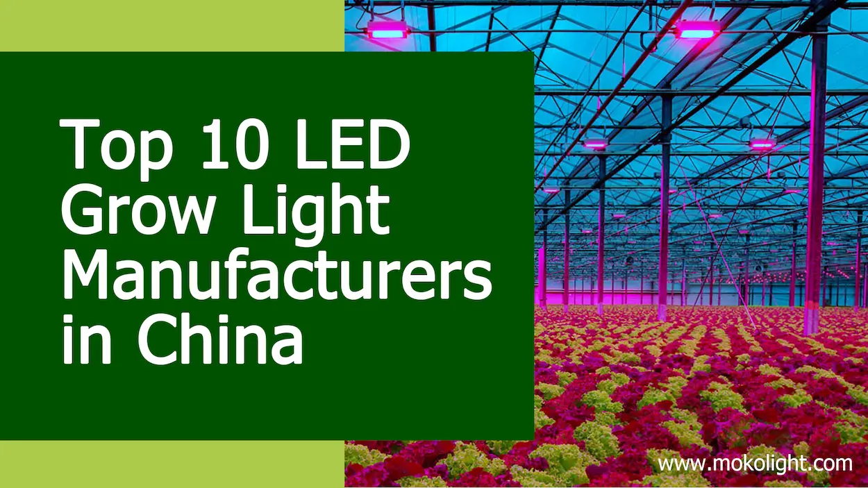 Top 10 LED grow light manufacturers in China