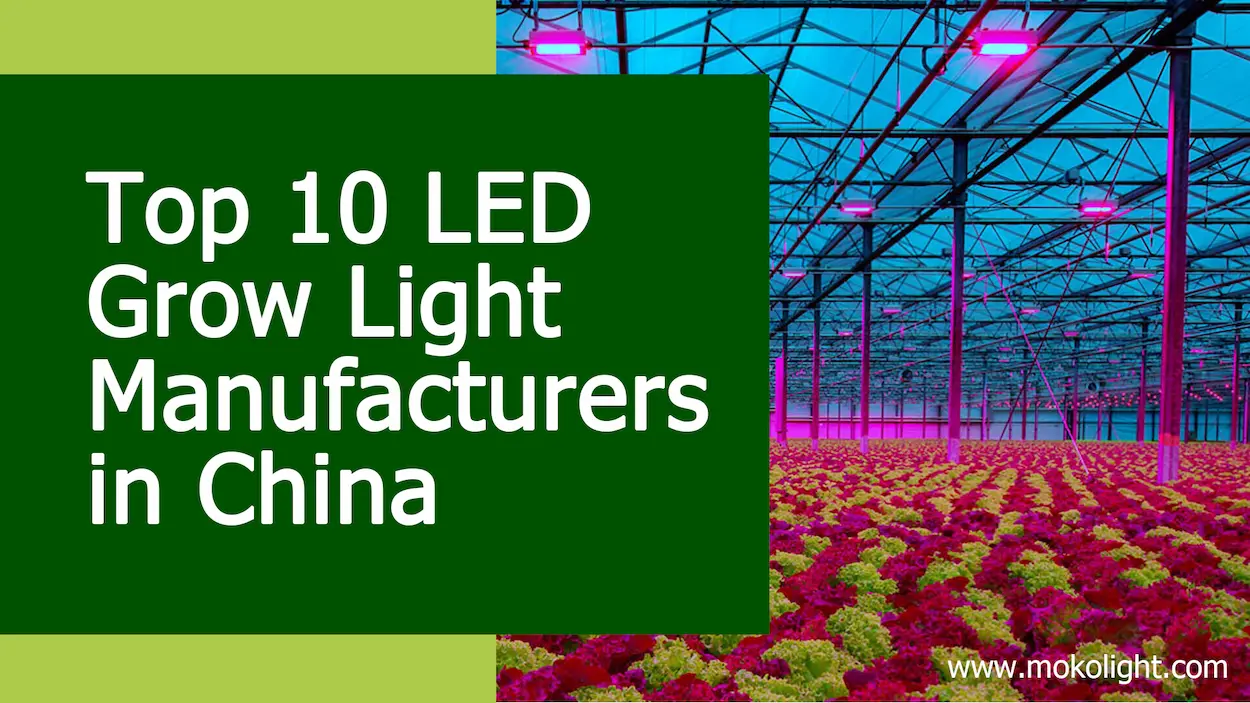 Top 10 Grow Light in China - mokolight.com