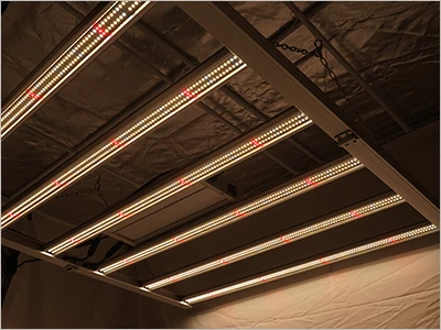 FLX 600W Spider Light