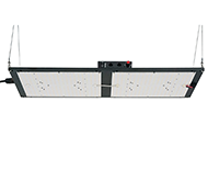 Grow Light QB288 240W