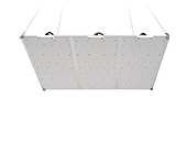 Grow Light 600W 720x600 мм