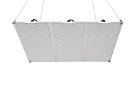 Grow Light 600W 720x600 мм
