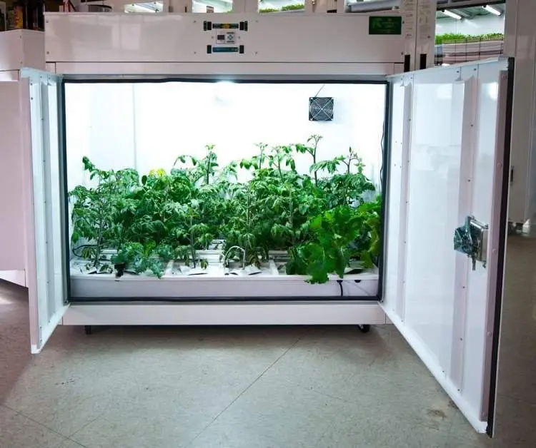 Grow Boxes