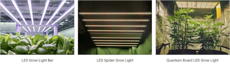 Портфолио светодиодного освещения для садоводства в Mokolight