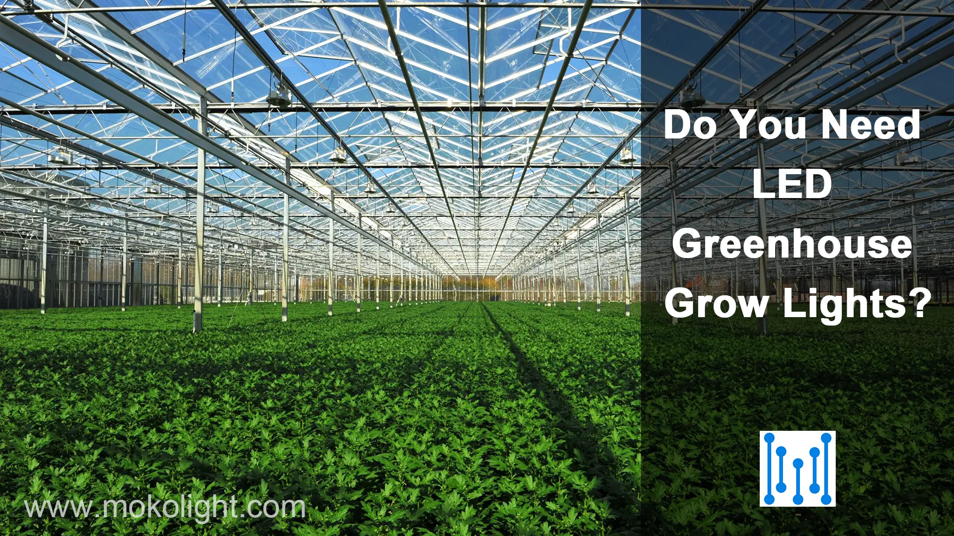 Do You Need LED Greenhouse Grow Lights?