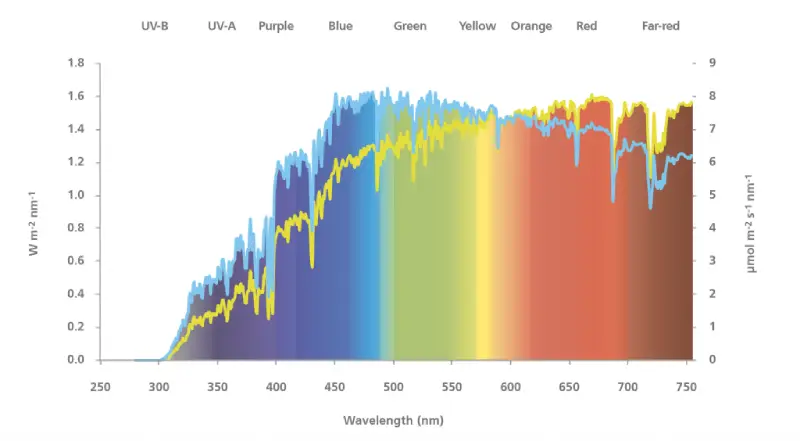 Enhanced Spectrum