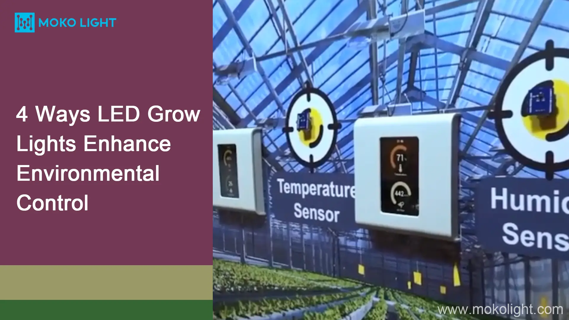 4 Ways LED Grow Lights Enhance Environmental Control