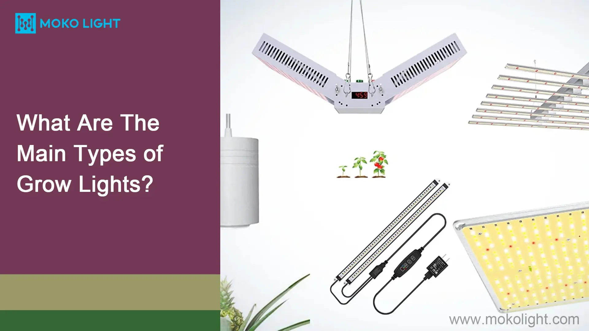 What Are The Main Types of Grow Lights?