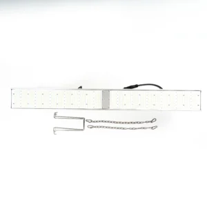 Mokolight 600W LED LED LIGHT BAR Linear Light Light